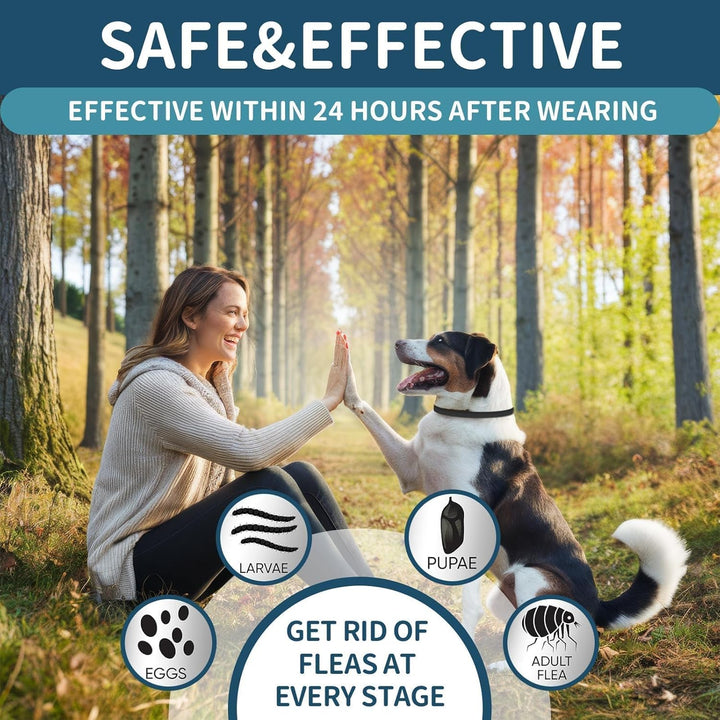 Flea and Tick Collar for Dogs 4 Pack, 32 Months Prevention, Waterproof, Adjustable for Small Medium Large Dogs Puppies (Black)