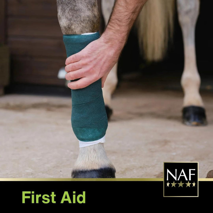 Naturalintxtm Cotton Wool 350G