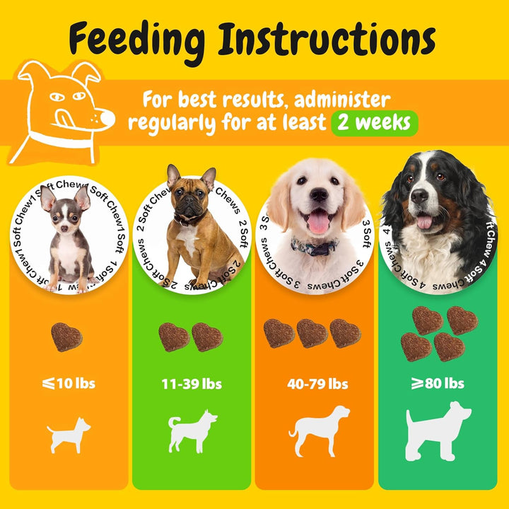 Probiotics for Dogs, Dogs Probiotics for Digestive Health, Multi-Probiotic and Enzyme Blend Promote Gut Health & Immune Support, Eases Sensitive Stomachs (Beef Chews, 50Ct)