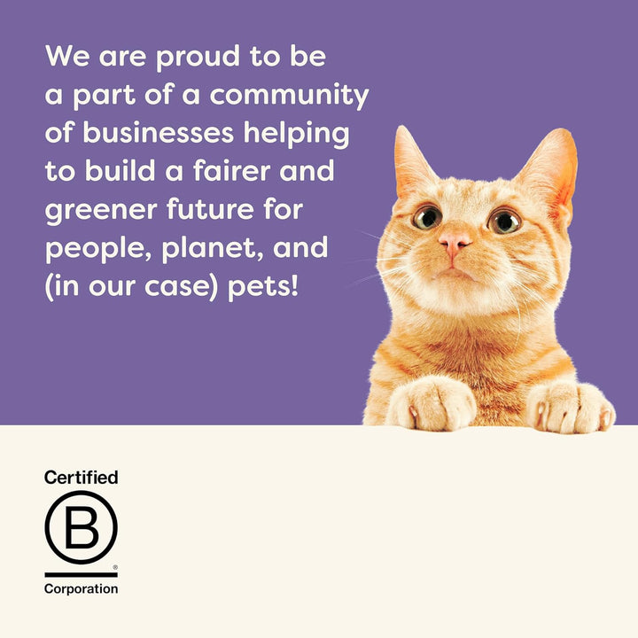 Natural Wet Cat Food in Gravy, Limited and Natural Ingredients, High Protein with No Artificial Additives, Fish Selection in Gravy (8X 2.12 Oz Easy-Open Cups)