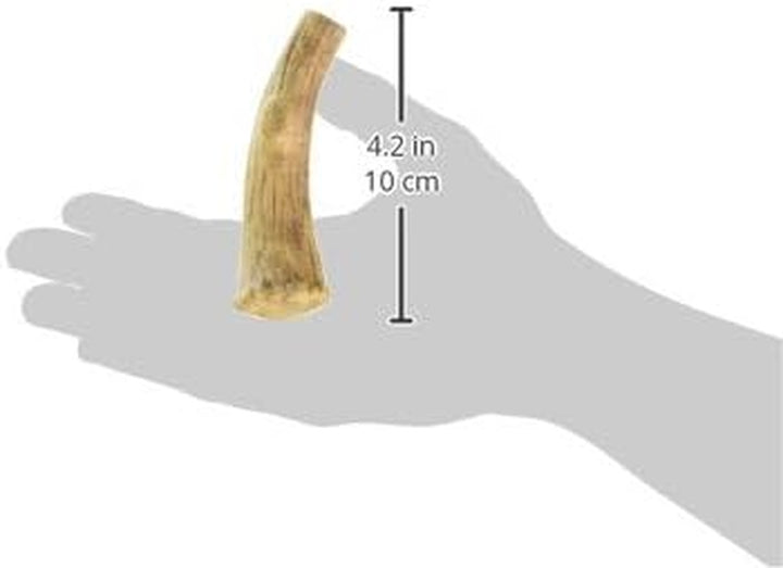Healthy Edibles WILD Natural Dog Chew Treats for Large Dogs, Long Lasting Dog Healthy Chew Antler Bone Made in USA, Venison Flavor, for Dogs up to 50 Lbs. (2 Count)