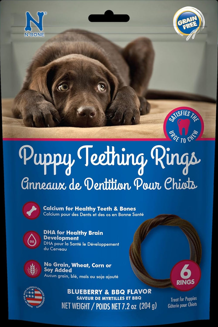 Puppy Teething Ring Pumpkin Flavor 7.2 OZ/(6 Pack)