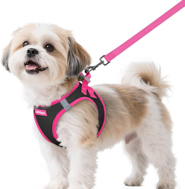 Dog Harness Small Sized and Leash Set, Step-In Breathable Pet Harness, Soft Walking Reflective Puppy Vest for Small Dogs, Black & Rose Red, S