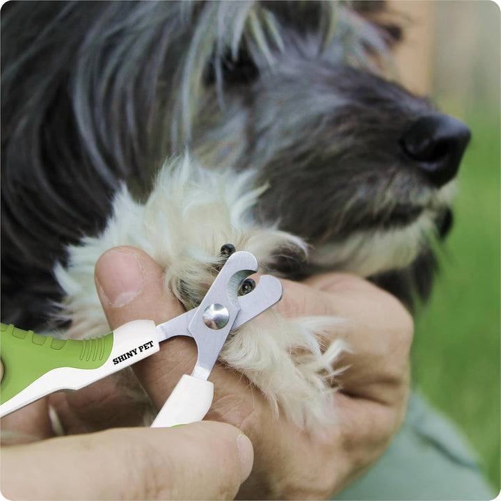 Pet Nail Clippers for Indoor Cats & Small Animals - Precision Angled Blades & Steady Grip - Ideal for Kittens Tiny Dogs Rabbits Birds - Nail Trimmer & Claw Scissors for Home Grooming - Ebook Guide