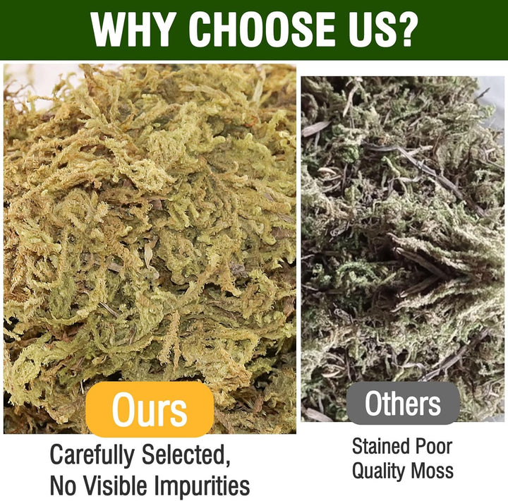 Natural Peat Moss Reptile Moss, Reptile Moss, Ideal Reptile Moss for Box Turtles, Hermit Crabs, Leopard Geckos, Snakes and Enclosures 7 OZ