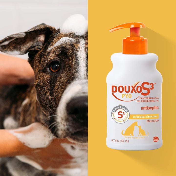 S3 Pyo Shampoo, Contains 3% Chlorhexidine & 0.5% Ophytrium, Antiseptic & Hydrating, for Bacterial or Yeast Skin Infections, for Dogs and Cats, 6.7 Fl. Oz. (200Ml)