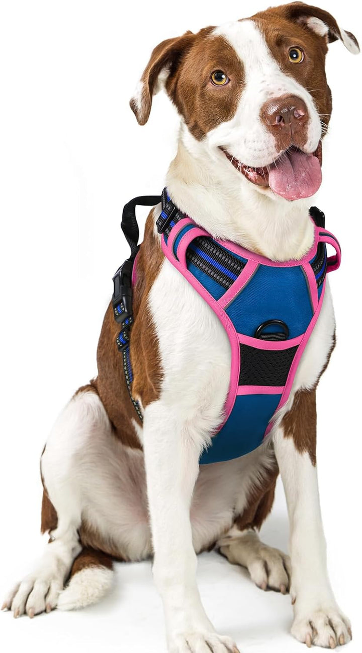 Dog Harness No Pull with 2 Leash Clips, Adjustable Soft Padded, Reflective Oxford No Choke Pet Vest with Easy Control Handle for Large Dogs, Black, L