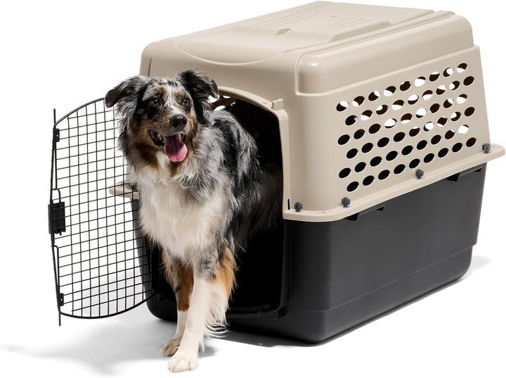 Vari Dog Kennel - Portable Dog Carriers & Crates for Large Dogs, Airline-Friendly, Durable Plastic, Pet Carrier for Home and Travel, 36 Inches, Taupe and Black