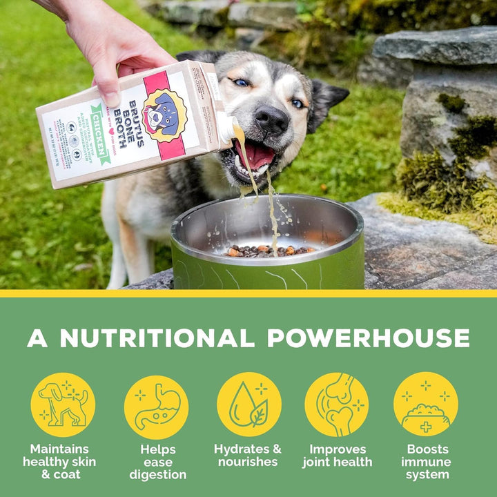 for Dogs - All Natural Bone Broth for Dogs with Chondroitin Glucosamine Turmeric -Human Grade Dog Food Toppers - Beef and Pork Bundle