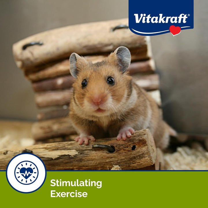 Crunch Sticks Hamster Treat - Apple and Honey - Hamster Chew Sticks