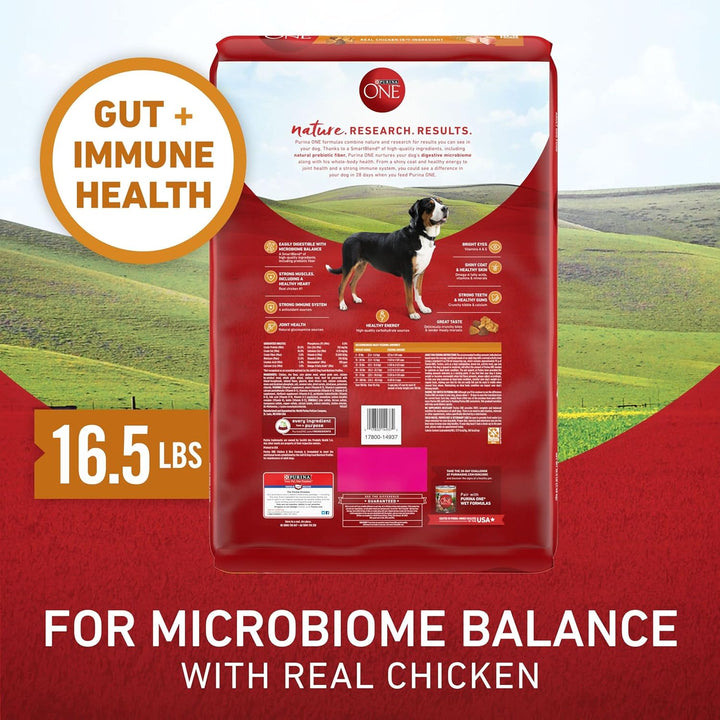 Chicken and Rice Formula Dry Dog Food - 16.5 Lb. Bag