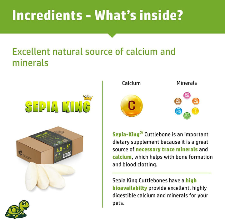 Medium - 100% Natural Calcium Supplement - Premium Cuttlebone Perfect for Birds, Tortoises, Snails, Reptiles - 12 Pack