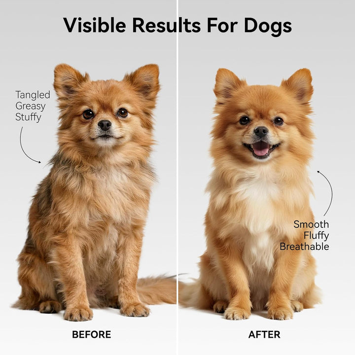 Undercoat Rake for Cats & Small/Medium Dogs – Deshedding Brush & Dematting Comb for Double-Coated Pets with Long or Short Hair, Matted Fur – Grooming Tool for Kitten, Puppy, Rabbit and Horse