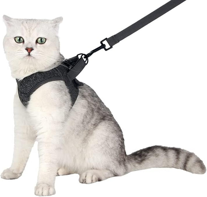 Cat Harness and Leash - Ultra Light Escape Proof Kitten Collar Cat Walking Jacket with Running Cushioning Soft and Comfortable Suitable for Puppies Rabbits