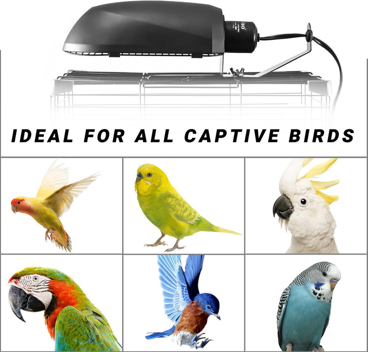 Bird Cage Light Fixture Combo Kit, Aviansun Lamp Hood with 2.4% UVB UVA 20W Compact Fluorescent Bulb for All Kinds Captive Birds