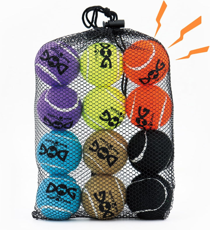 Tennis Balls for Dogs - 12 Pack 2.5'' Durable Non-Toxic Outdoor Dog Toys Balls with Mesh Bag, SGS Certified, Colorful Fetch Toys, Medium Large Breeds (Non Squeaky)