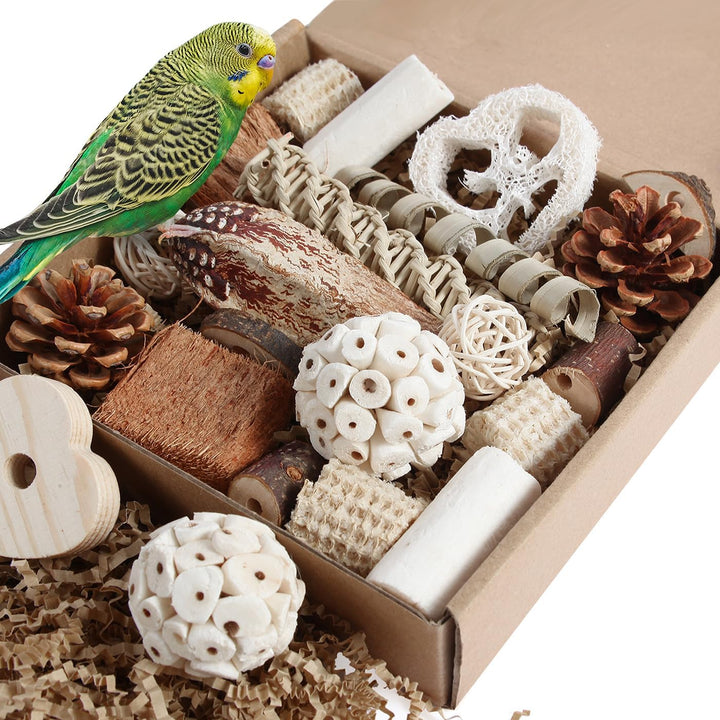 Bird Toys Parrot Toys Natural Bird Foraging Box Foot for Parakeets,Cockatiels,Conures,Love Birds,And Other Small to Medium Birds (Medium)