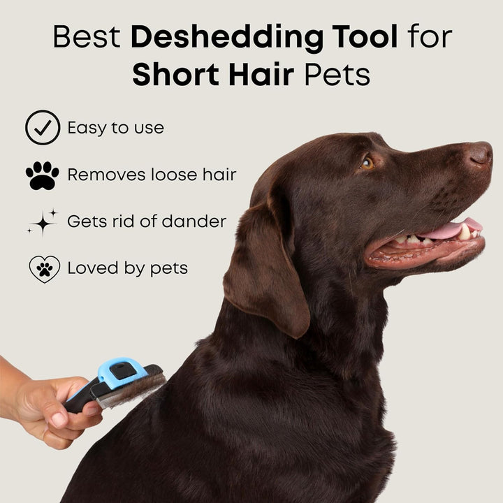 Deshedding Brush for Short Haired Dogs & Cats - Cat and Dog Brush for Shedding Short Hair - Highly Effective Deshedder Grooming Comb