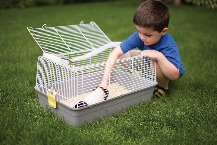 Universal Pet Carrier, Gray, Small (Model: 1306)