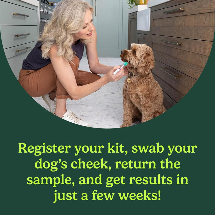 Ancestry Dog DNA Test: At-Home Testing, Breed Identification & Trait Insights, Canine Genetics Analysis, Unique Pet Parent Gift, New Puppy Essentials