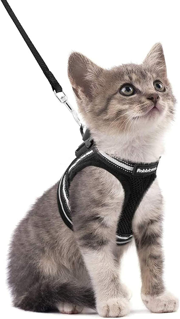 Cat Harness and Leash Set for Walking Escape Proof, Adjustable Soft Kittens Vest with Reflective Strip for Cats, Comfortable Outdoor Vest, Black, S