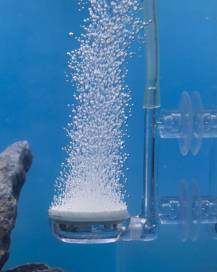 Aquarium Air Stone Disc, 0.9 Inch Tiny Fish Tank Air Stone Kit Ultra-High Dissolved Bubbler Airstone with Accessories for Aquarium Fish Tank and Small Bucket(Pump and Tubing Not Included)