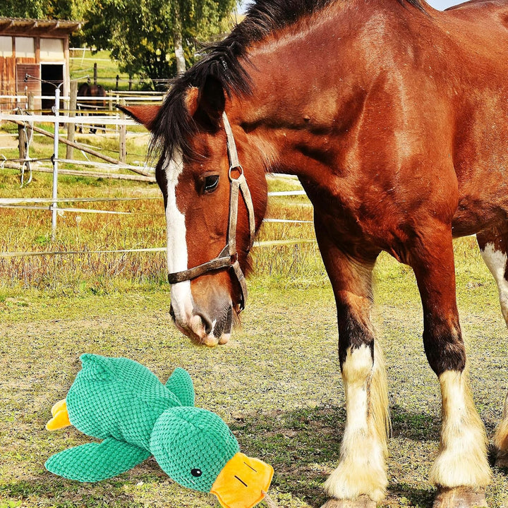 Horse Toys Squeaky Squeeze Plush Duck, Interactive Squeaky Duck Toy for Horses to Play With, Hanging Plush Enrichment Toys for Horses Goat to Prevent Boredom-Green
