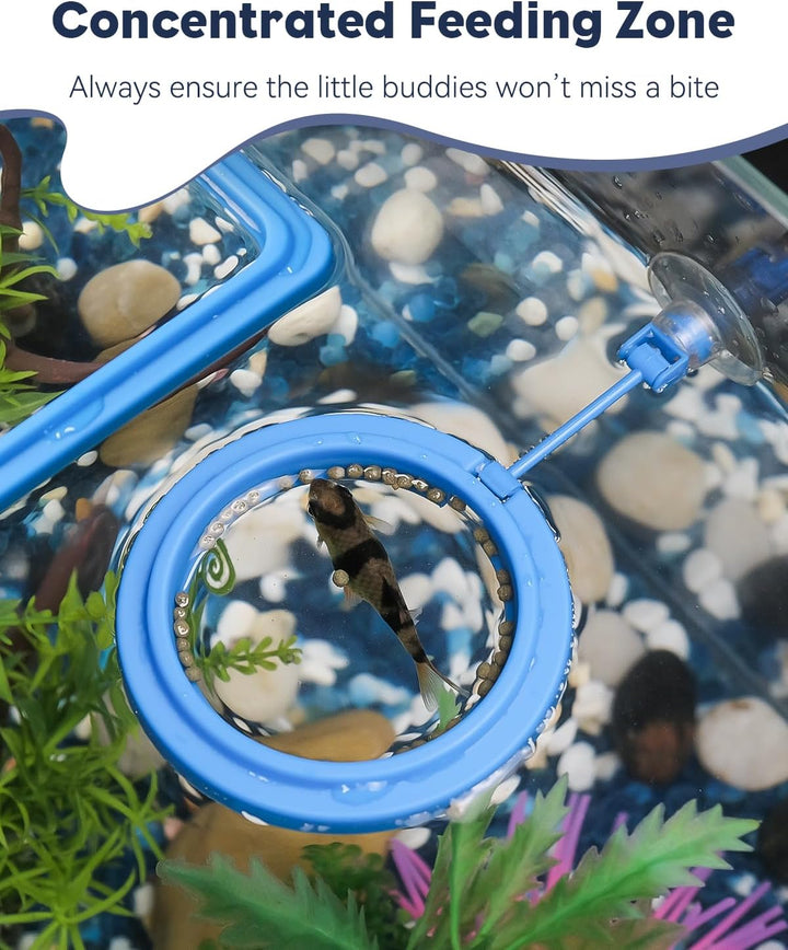 2 Pcs Fish Feeding Ring for Aquarium – round and Square Floating Food Feeder with Suction Cup for Betta, Goldfish, Guppy, Turtle & Small Fish