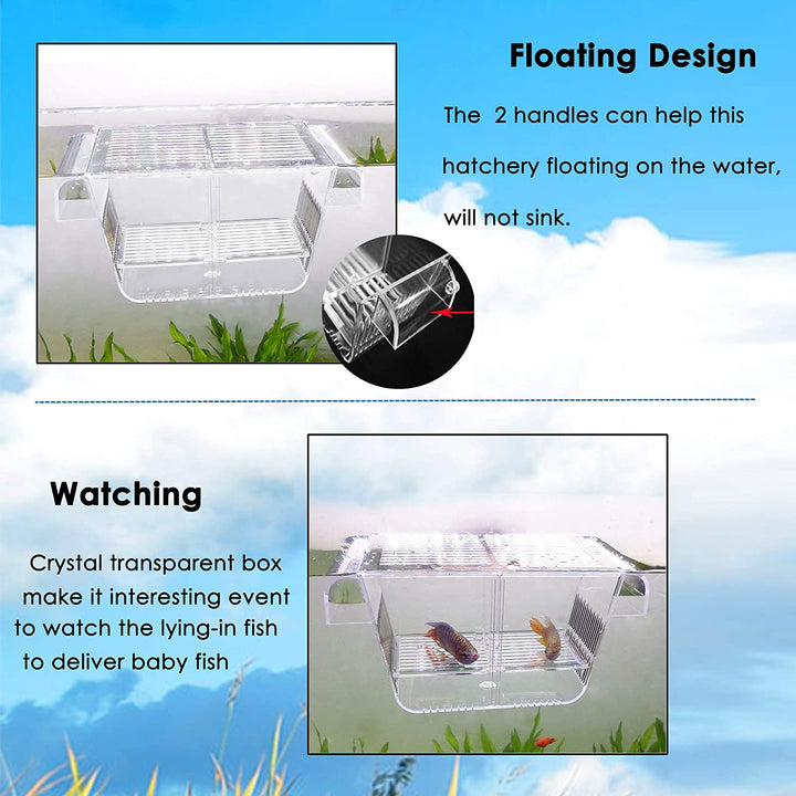 Fish Breeding Box, Acrylic Fish Isolation Box with Suction Cups, Aquarium Acclimation Hatchery Incubator for Baby Fishes Shrimp Clownfish and Guppy... Small Size (S)