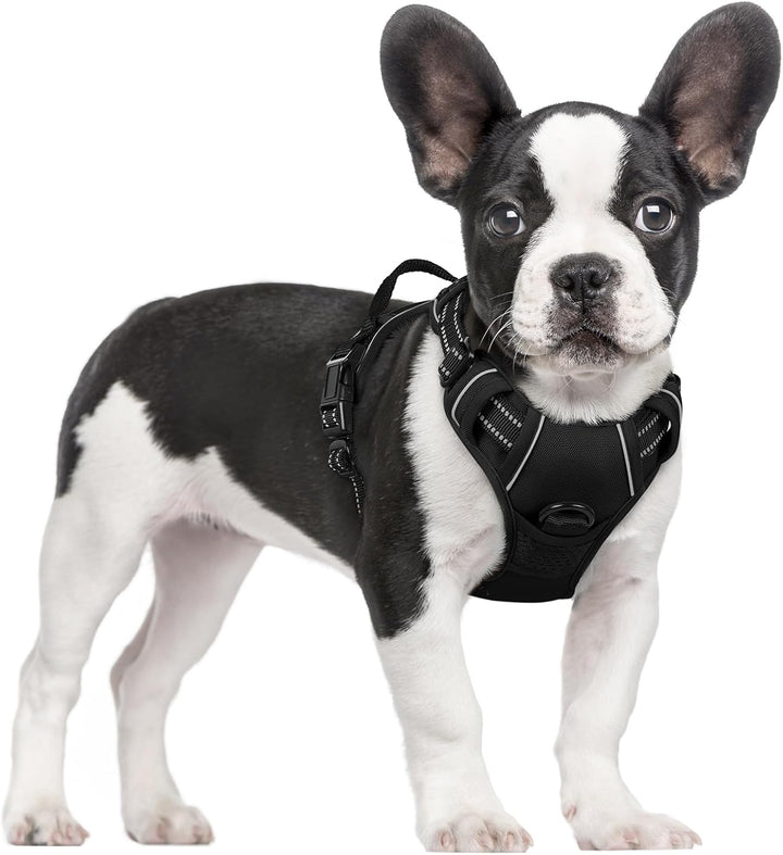 Dog Harness No Pull with 2 Leash Clips, Adjustable Soft Padded, Reflective Oxford No Choke Pet Vest with Easy Control Handle for Large Dogs, Black, L