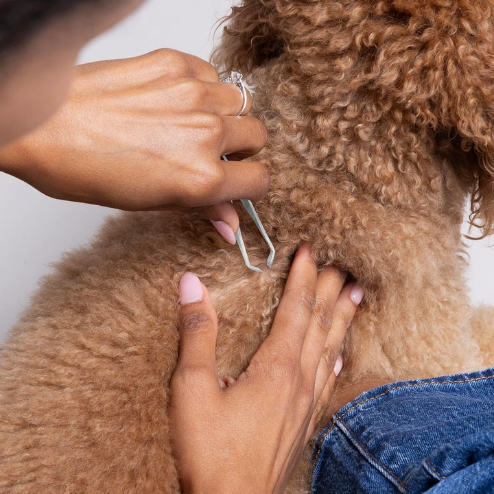 Pet Tick Removal Tweezer, Tick Removal Tool for Dogs and Cats