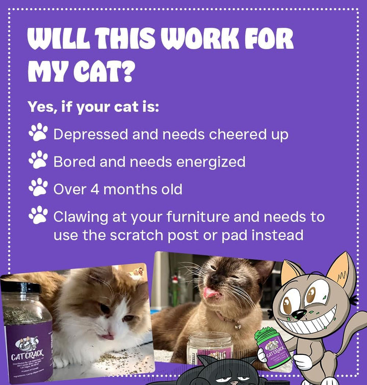 Catnip, Zoomie-Inducing Cat Nip Blend, North American Made & 100% Natural, Safe & Non-Addictive Catnip Treats Used to Supplement Cat Nip Toys, Spray, & Accessories (1 Cup)