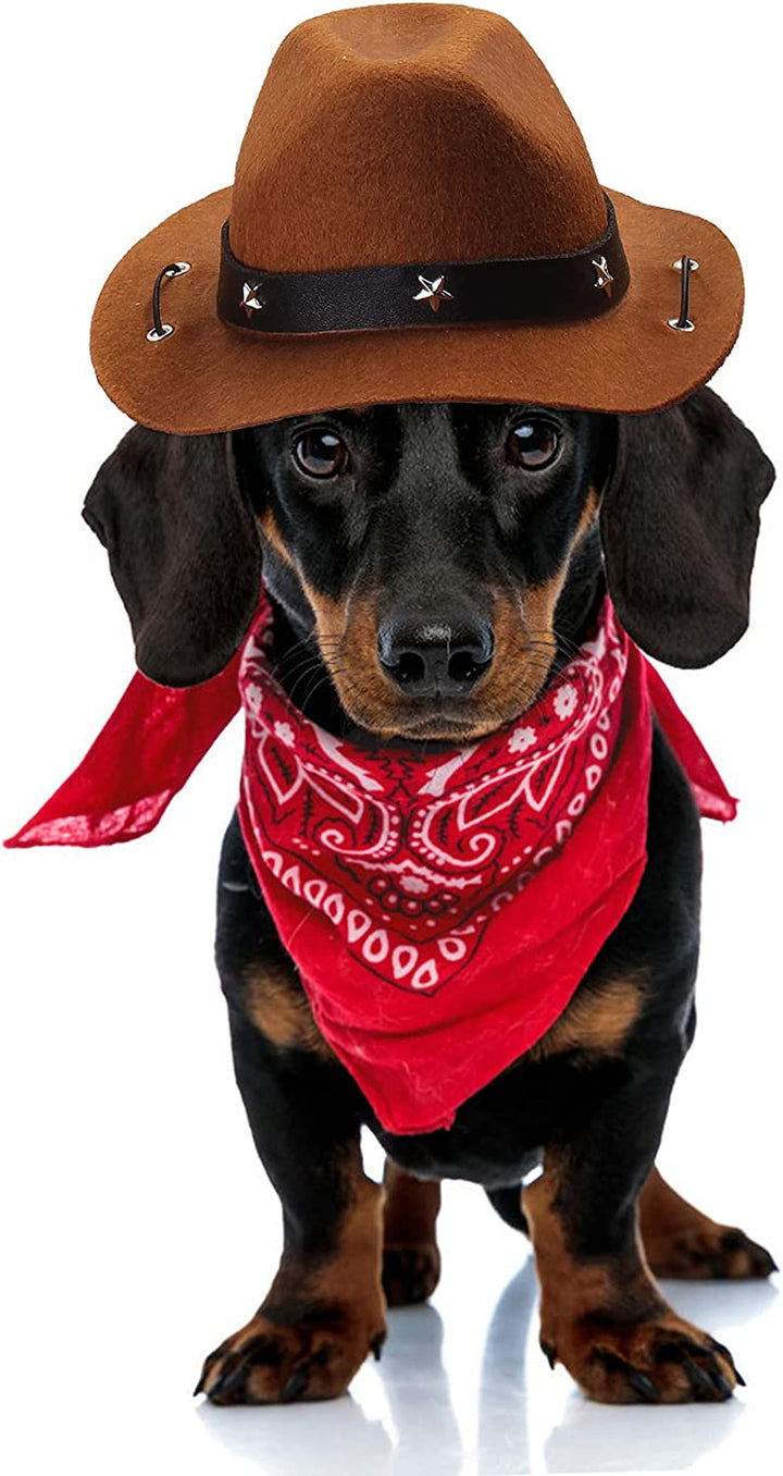 Pet Cowboy Costume Accessories - Dog Cat Pet Size Cowboy Hat and Bandana Scarf West Accessories for Puppy Kitten Party Festival and Daily Wearing Set of 2 (Coffee)