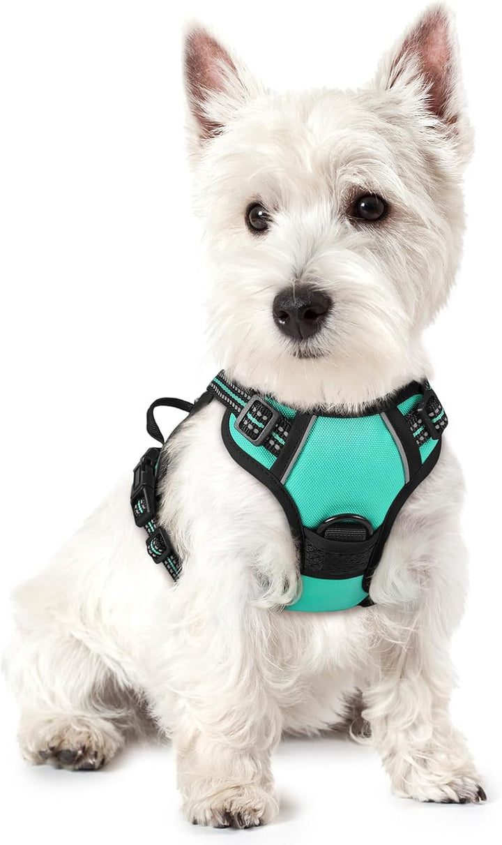 Dog Harness No Pull with 2 Leash Clips, Adjustable Soft Padded, Reflective Oxford No Choke Pet Vest with Easy Control Handle for Large Dogs, Black, L