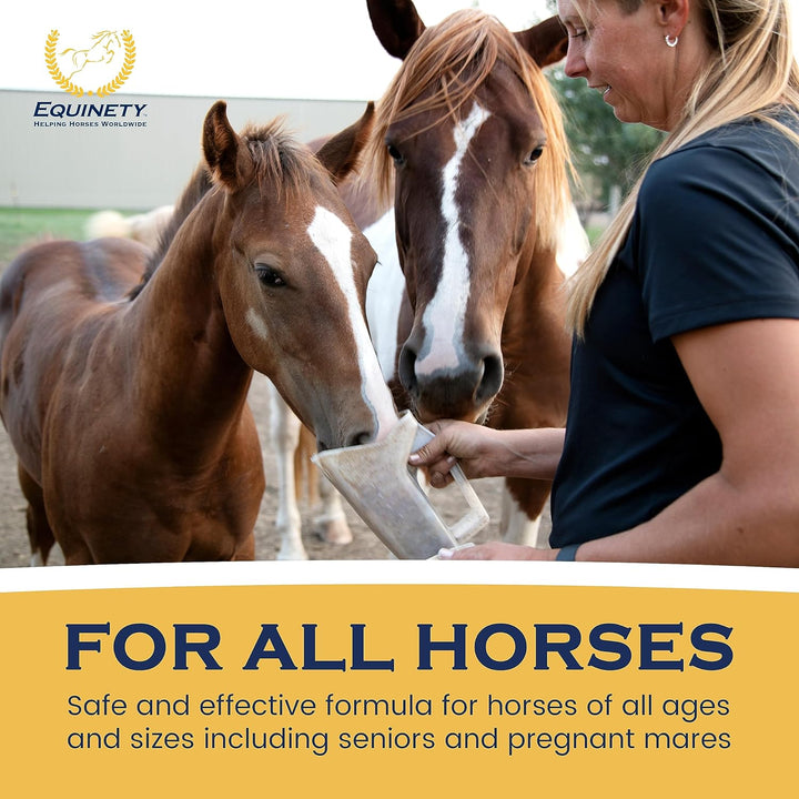 100-Day Supply Horse XL Supplement – Amino Acids for Cellular Repair, Coat Defense, Weight Gain, Joint & Hoof Support – No Soy/Sugar – Equine Supplements for Muscle, Immune Support & Overall Health