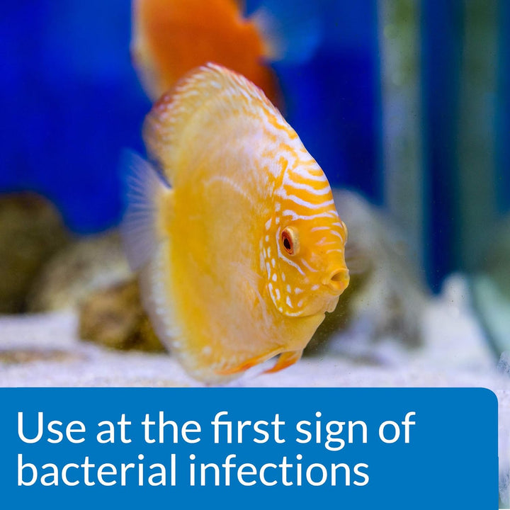 Liquid Fungus Cure, 4-Ounce