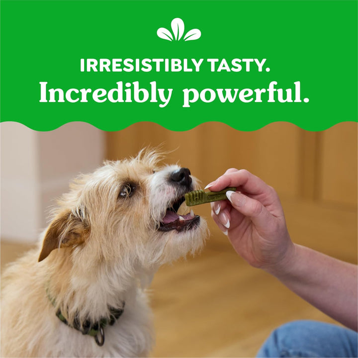 Teenie Dental Dog Treats, Mint Fresh Flavor, 12 Oz. Pack (43 Treats)