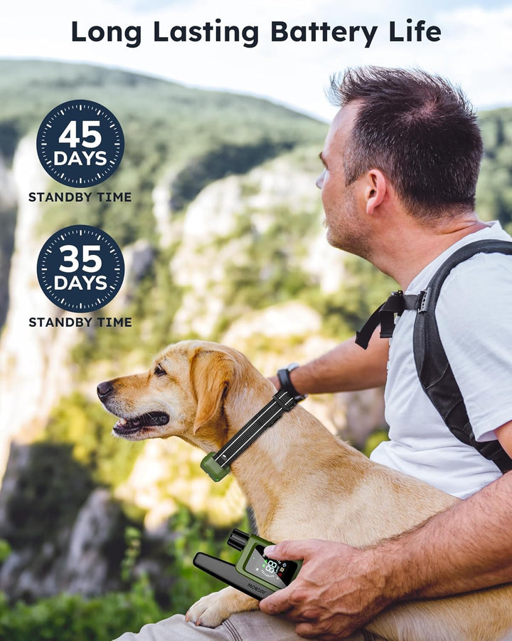 Dog Shock Collar 2 Dogs (10-120Lbs) - 4200FT Dog Training Collar with Remote IPX7 Waterproof Electric Collar with 4 Training Modes, Security Lock, Rechargeable E-Collar for All Breeds, Sizes