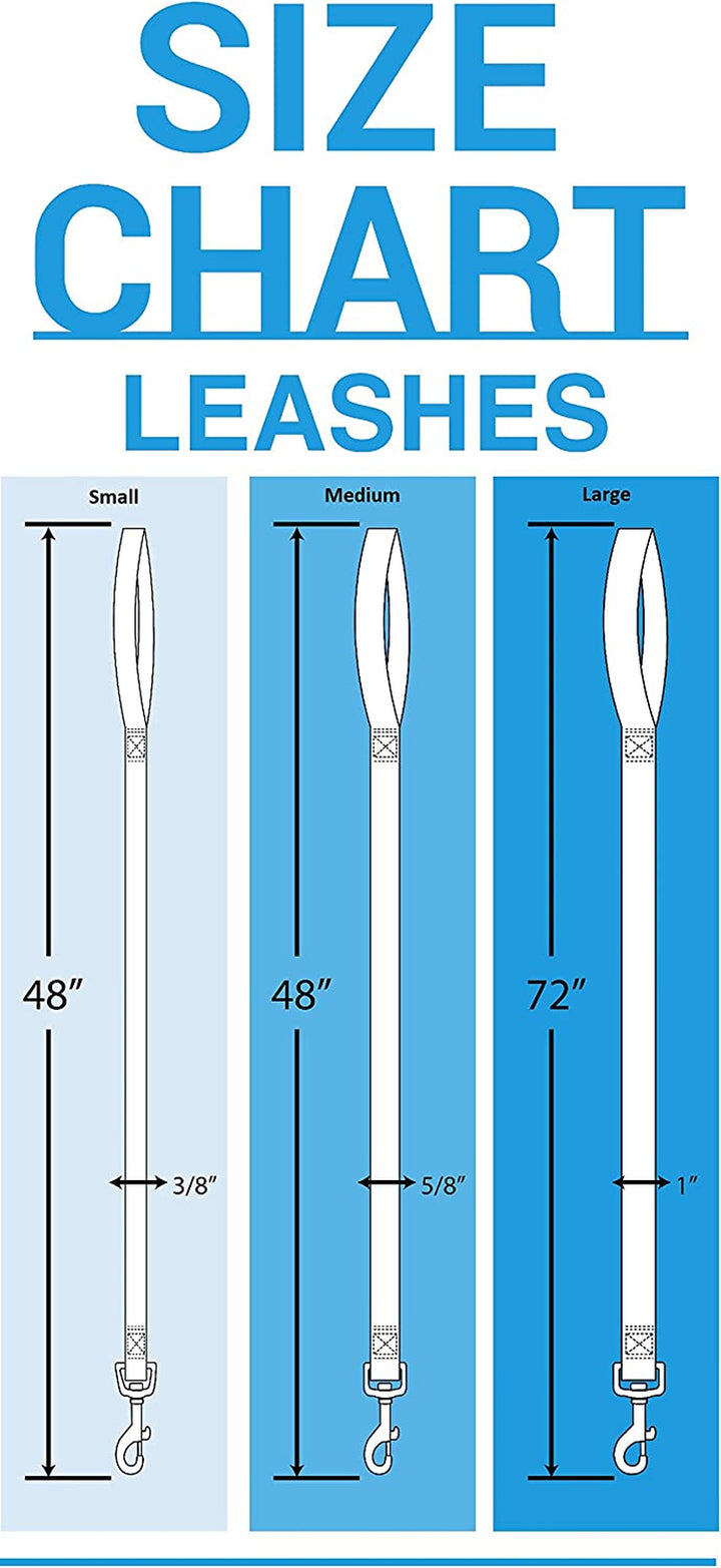 NFL PET Leash Philadelphia Eagles Dog Leash, Large Football Team Leash for Dogs & Cats. a Shiny & Colorful Cat Leash & Dog Leash Licensed by the NFL