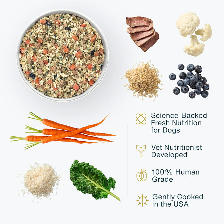 Renal Support Low Protein Dog Food for Kidney Health, Fresh Frozen Human Grade Dog Food, Rx, 18 Oz (Pack of 21)