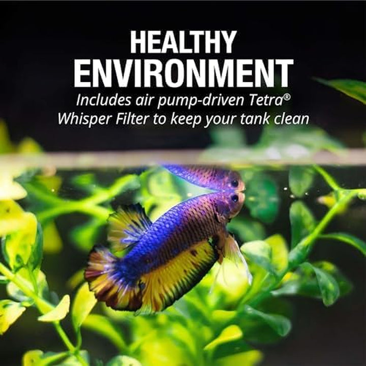 Bubbling LED Aquarium Kit 1 Gallon, Hexagon Shape, with Color-Changing Light Disc