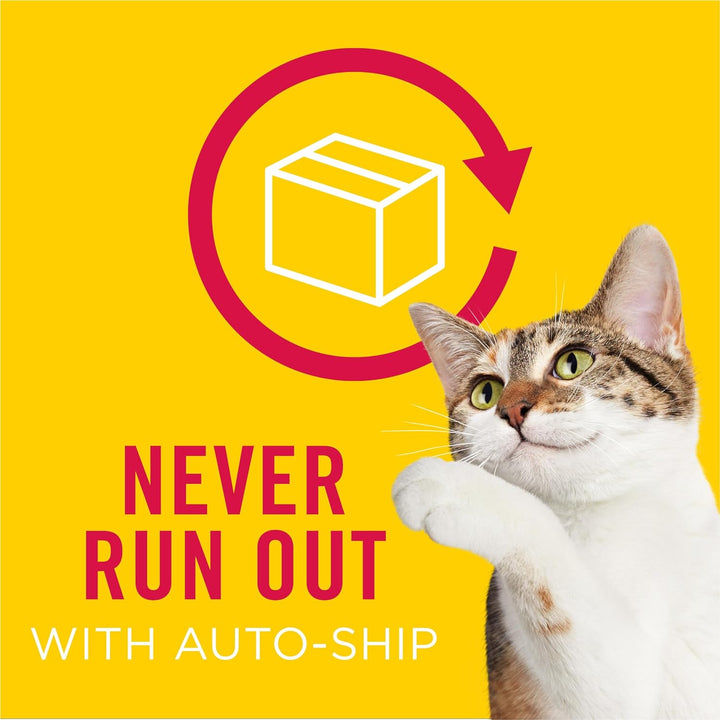 Purina  Pureed Cat Food Topper, Lil’ Shakes with Enticing Chicken Lickable Cat Treats - (Pack of 16) 1.55 Oz. Pouches