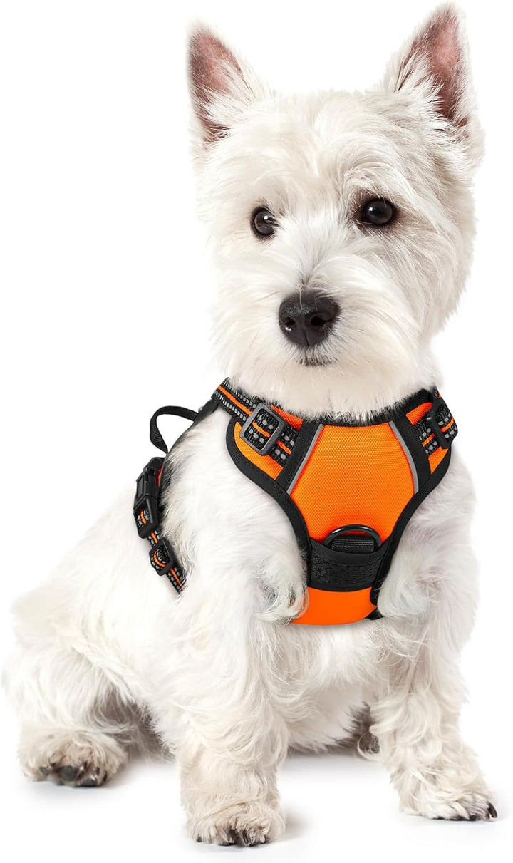 Dog Harness No Pull with 2 Leash Clips, Adjustable Soft Padded, Reflective Oxford No Choke Pet Vest with Easy Control Handle for Large Dogs, Black, L