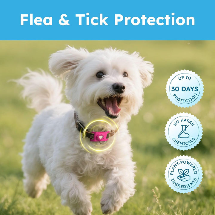 Paw Guardian Refill, Plant-Powered Flea & Tick Protection Tablets, 3 Count, 30-Day Protection, Natural Essential Oil Formula