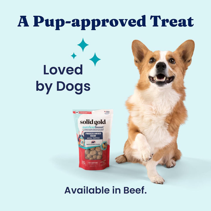 Freeze Dried Dog Food - W/Real Beef, Pumpkin & Superfoods - Freeze Dried Raw Dog Food Toppers for Picky Eaters to Serve as a Nutrient-Dense Meal Topper or High Protein Treats - 1.5Oz