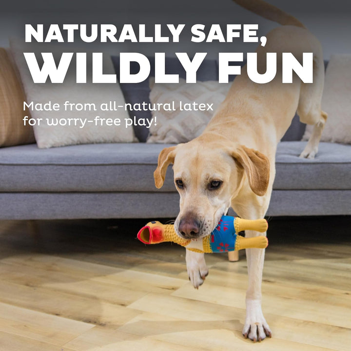 by Charming Pet Squawkers Earl Latex Squeaky Rubber Chicken Dog Toy, Funny Interactive Holiday Toy for Dogs, Large Size