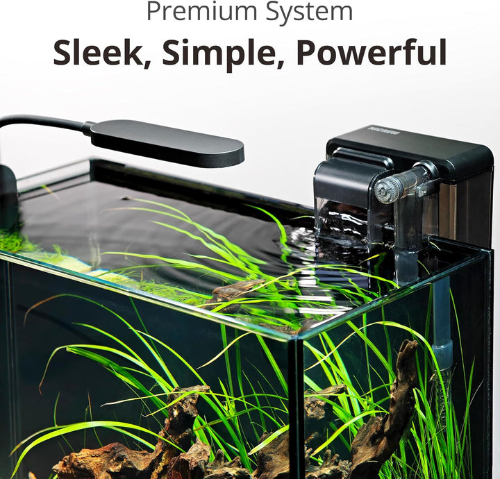 2.5 Gallon Nano Nature Aquarium Kit, Ultra-Clear Rimless Desktop Fish Tank with Light, Filter, Gravel and Rock, Perfect for Small Fish, Shrimp, or Betta, Complete Version, Black