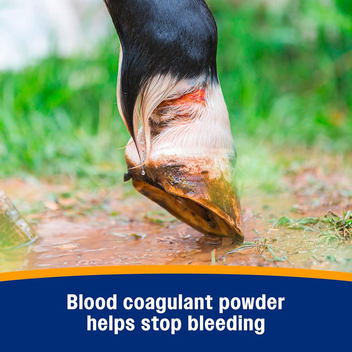 Wonder Dust Wound Powder, Blood Coagulant for Horses and Show Stock, for Use on Proud Flesh, Granulated Tissue, 4 Ounces