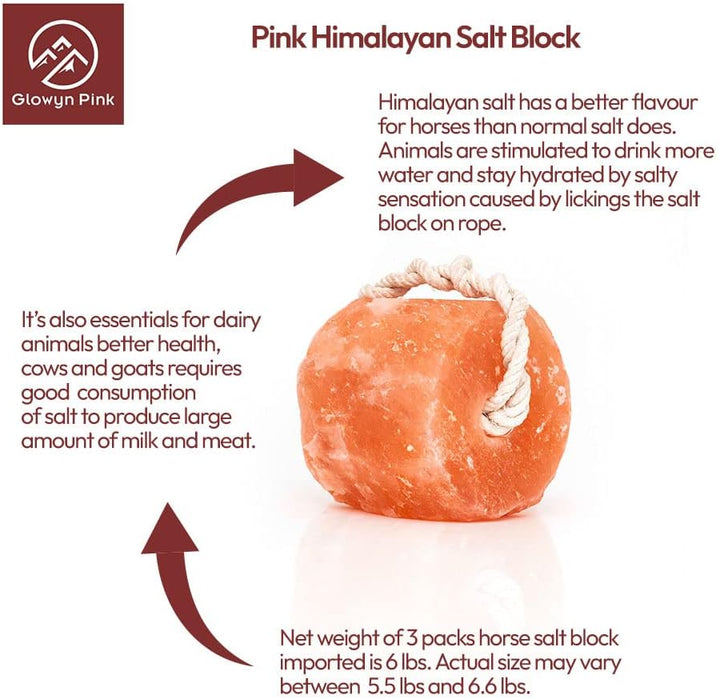 Glowyn Himalayan Salt Lick-Natural Minerals Block on Rope - 4.0 Lbs. (6 Packs) - Great for Horses, Cattle, and Live Stock– Long Lasting – Pink Salt Lick