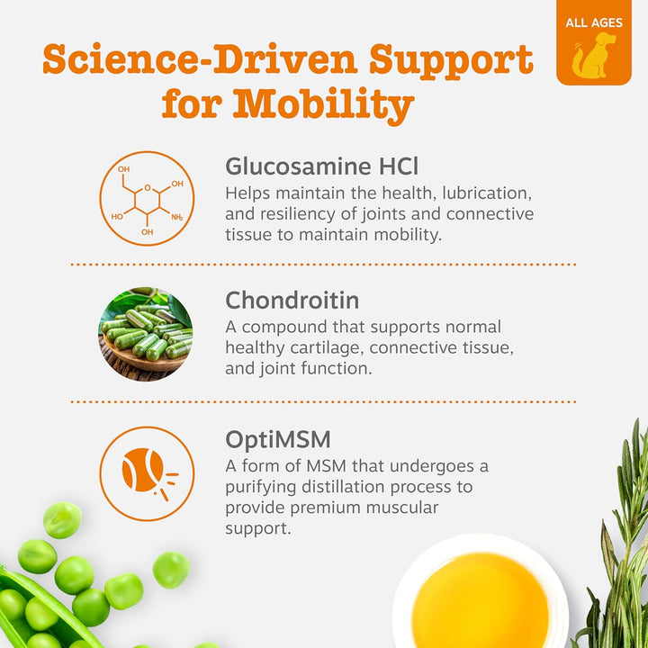 Hip and Joint for Dogs, Glucosamine for Dogs Hip and Joint Supplement with Chondroitin, MSM, Vitamins C & E - Bacon, 90 Count